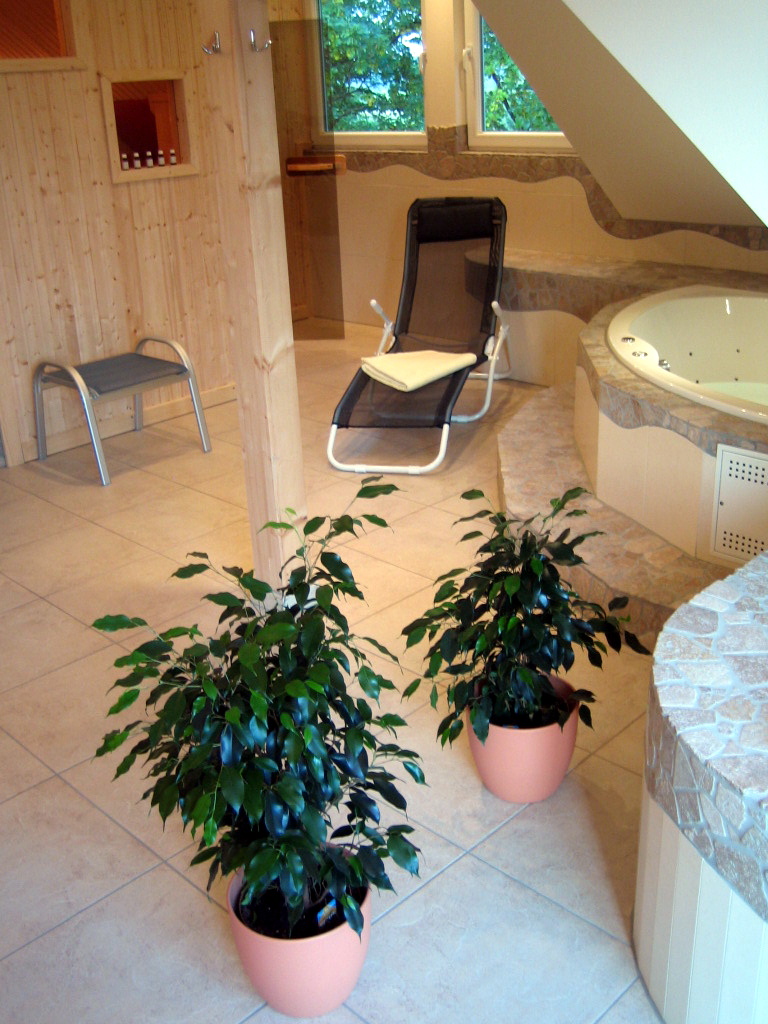 arche-noah-marienberge-4