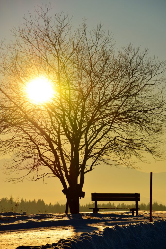 bildungs-und-erholungsstaette-langau-19