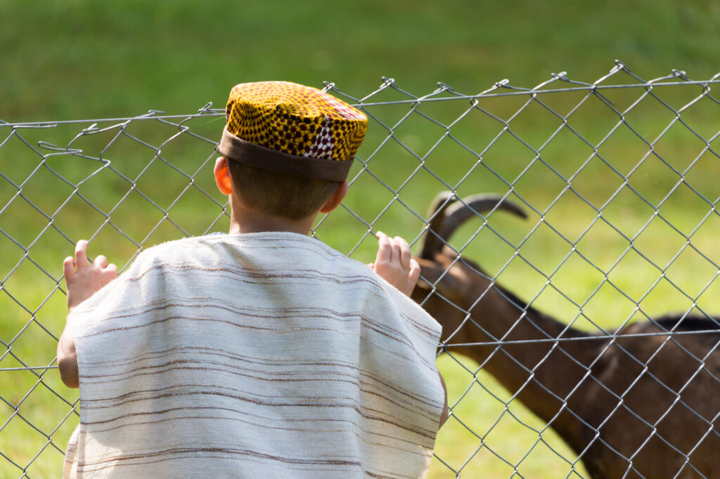 christliche-gaestehaeuser-monbachtal-14