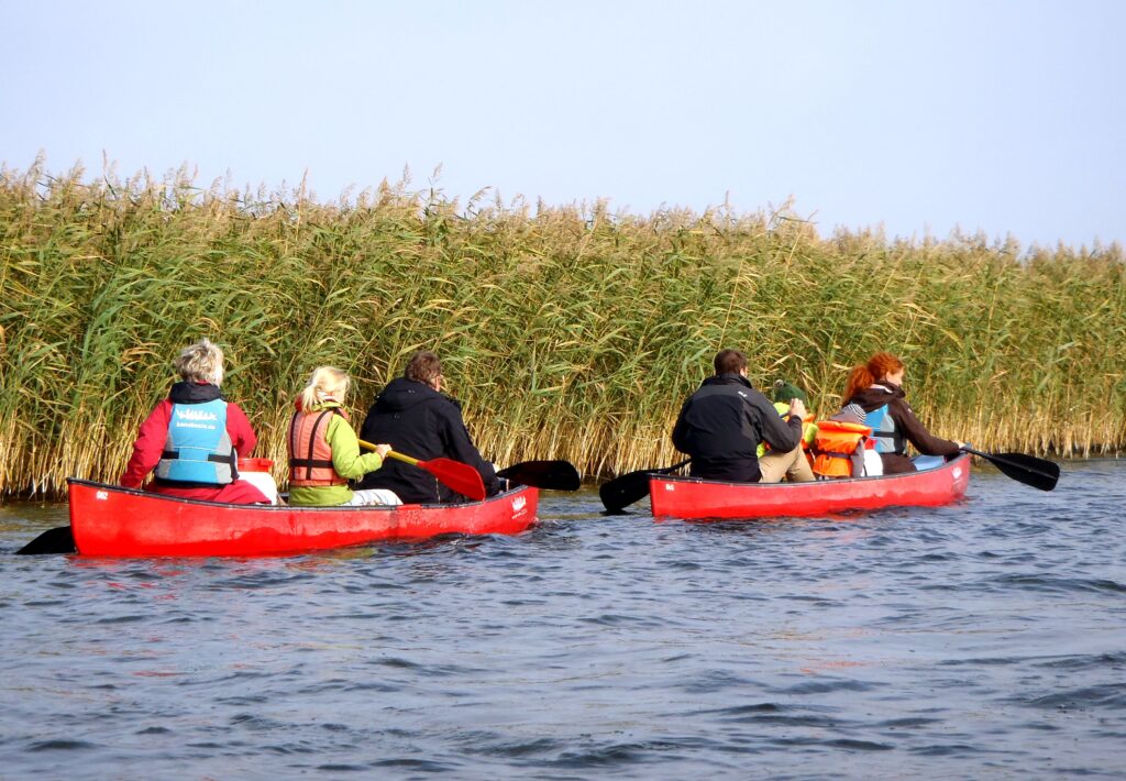 ferienland-salem-direkt-am-kummerower-see-8