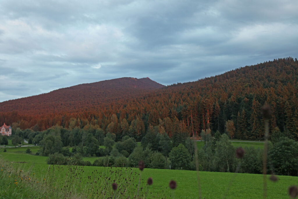 kolping-haus-bayerischer-wald-13